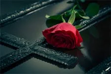 DERNIÈRE MINUTE : Un personnage récurrent et historique de PBLV va mourir !