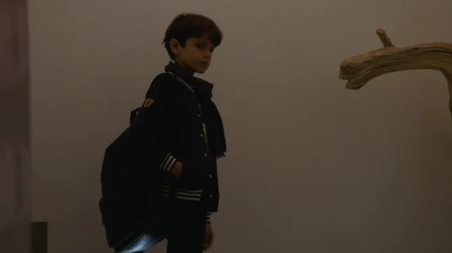 Est-ce vraiment fini entre Abdel et Vanessa ?