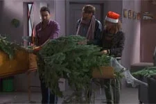 Gabriel coupe le sapin !