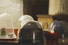 VIDÉO INÉDITE : Découvrez le teaser de la grande soirée PBLV du mardi 20/12/16 !