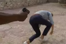 Djawad va-t-il vraiment tuer Marc ?