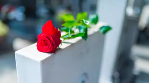 ALERTE ! Un acteur de Plus belle la vie est MORT !