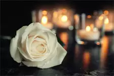 Pluie d’hommages des acteurs de PBLV pour le décès du réalisateur Philippe Carrese
